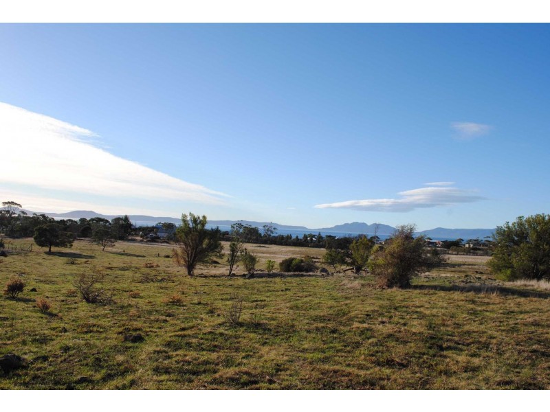 96 Gordon Street, Swansea TAS 7190