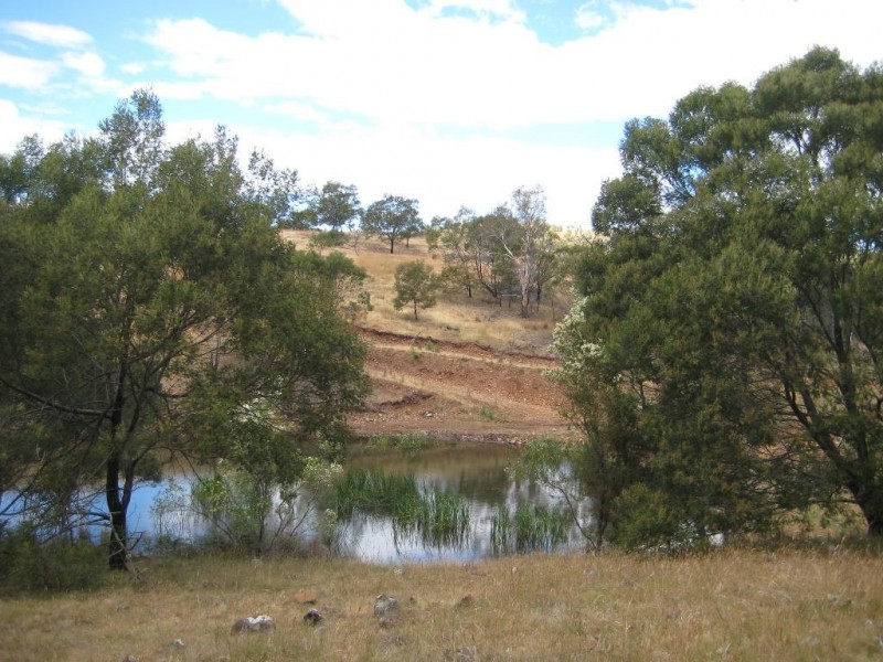 15255 Tasman Highway, Cranbrook TAS 7190