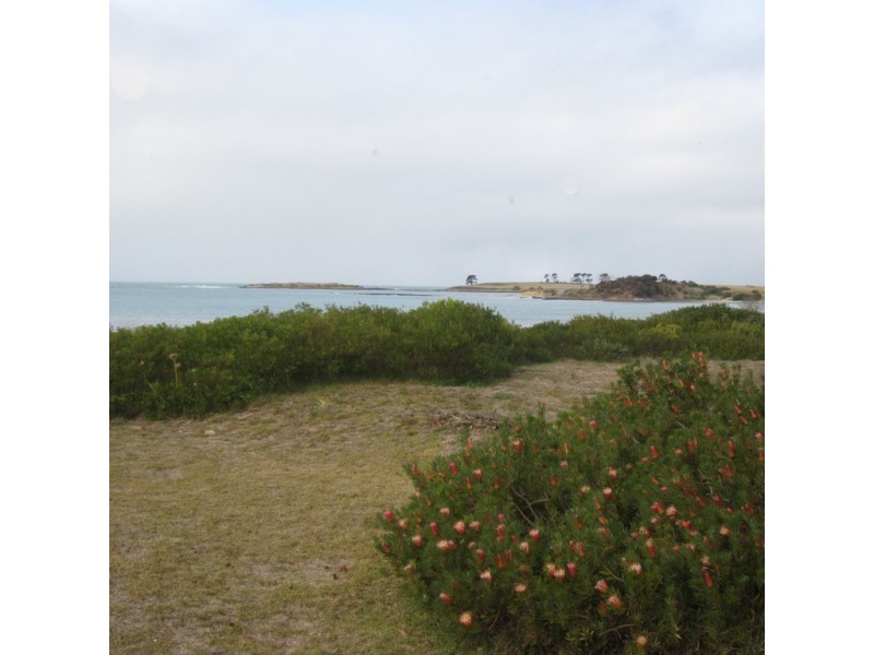 11784 Tasman Highway, Swansea TAS 7190