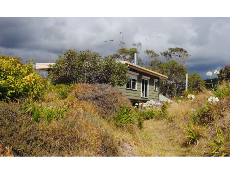 11784 Tasman Highway, Swansea TAS 7190