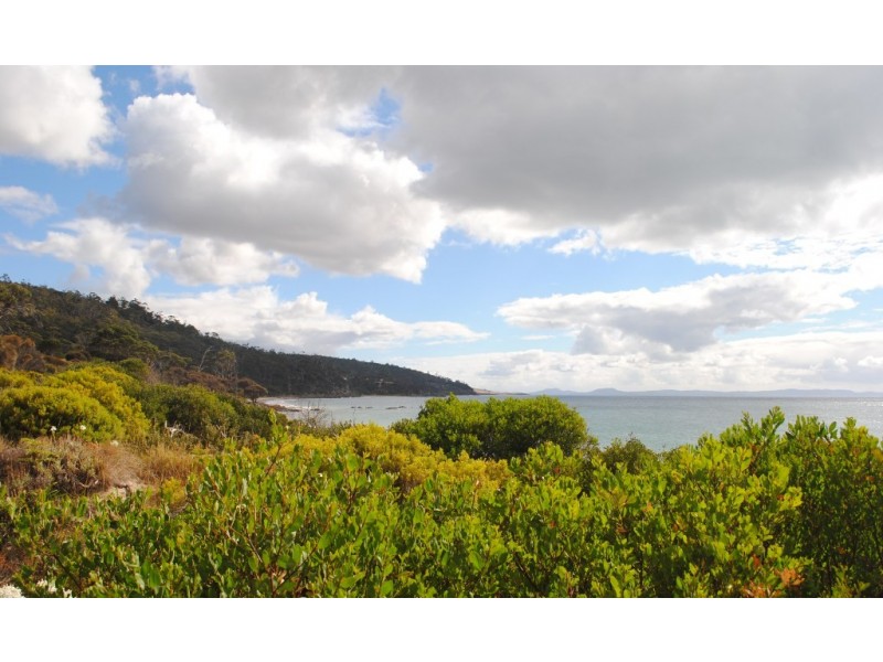 11784 Tasman Highway, Swansea TAS 7190