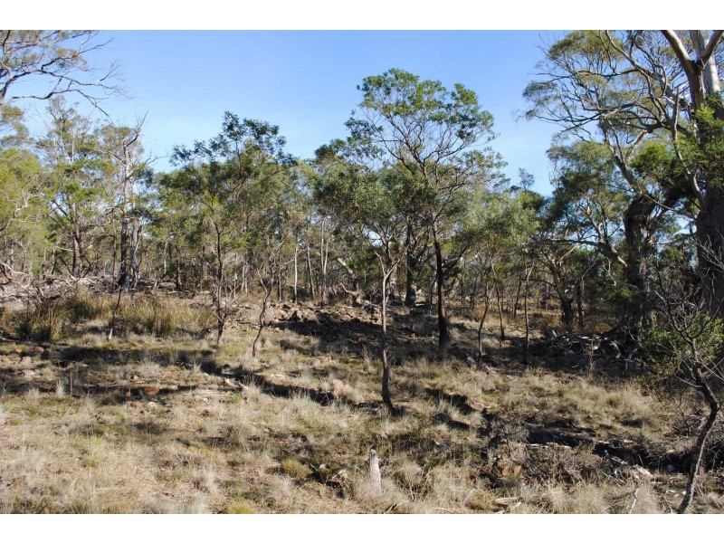 Lot 2 Crossins Rd, Swansea TAS 7190