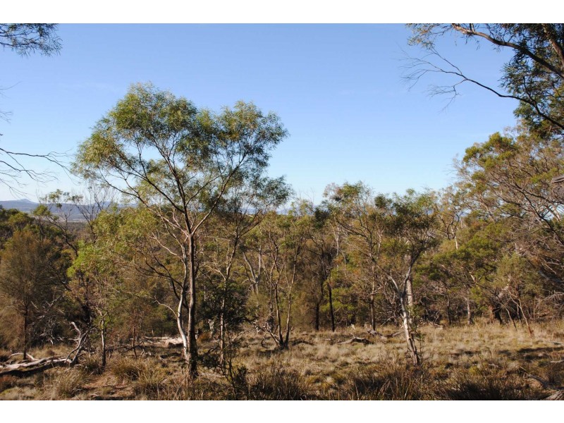 Lot 2 Crossins Rd, Swansea TAS 7190