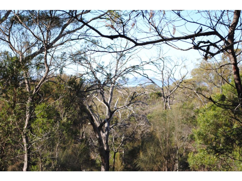 Lot 2 Crossins Rd, Swansea TAS 7190
