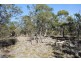 Lot 2 Crossins Rd, Swansea TAS 7190