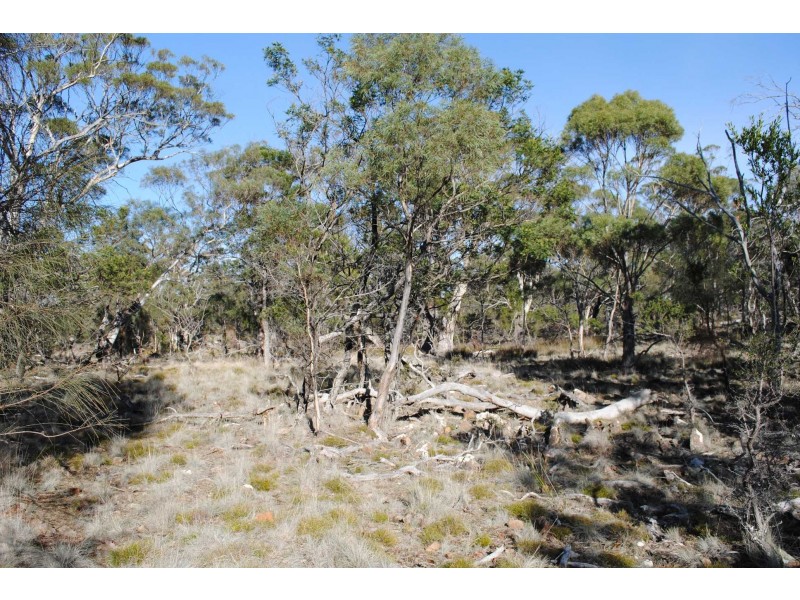 Lot 2 Crossins Rd, Swansea TAS 7190