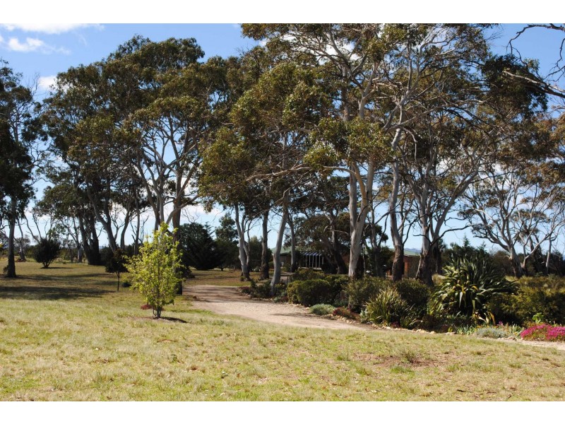 103 Cambria Drive, Swansea TAS 7190
