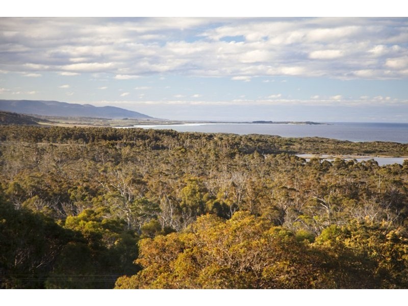 131 Rosedale Road, Bicheno TAS 7215