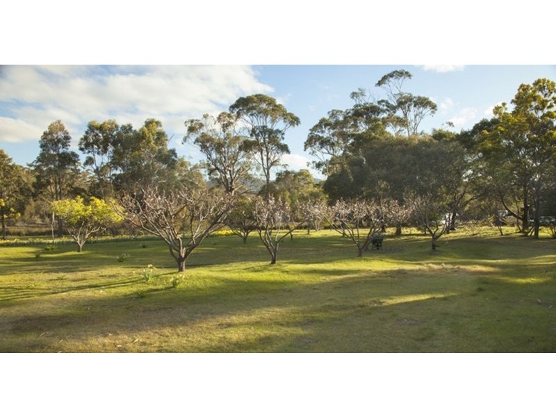 131 Rosedale Road, Bicheno TAS 7215