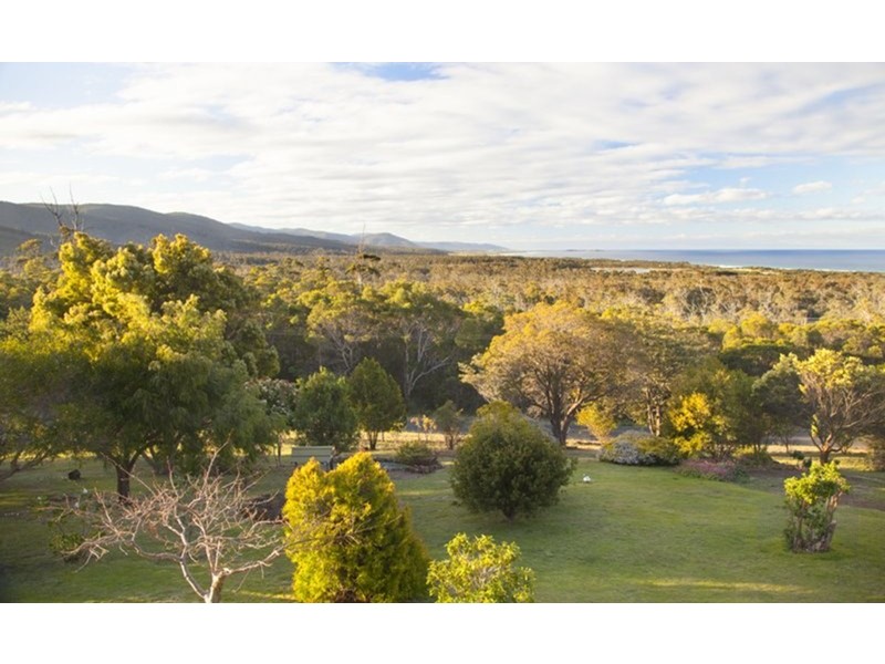 131 Rosedale Road, Bicheno TAS 7215
