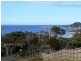 1/154 Tasman Hwy, Bicheno TAS 7215
