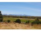 319 Swan River Road, Swansea TAS 7190