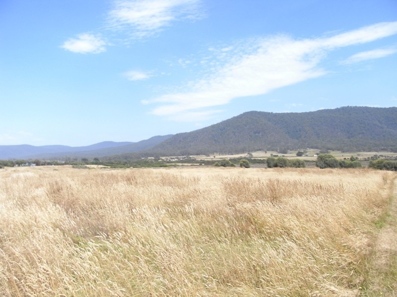 Lots 2 and 5 Macquarie Street, Seymour TAS 7215