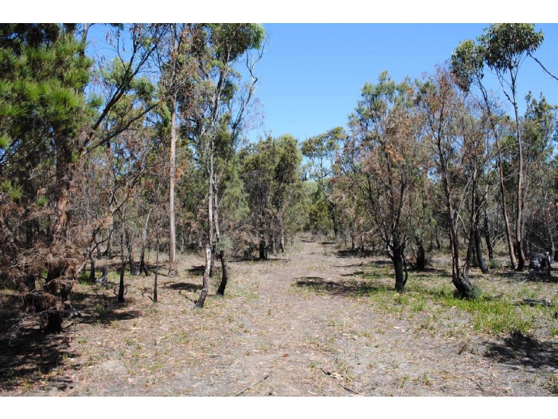 Lot 1 Cnr Elizabeth St and Maria St, Pontypool TAS 7190