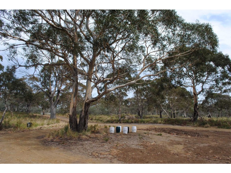 154 Cambria Drive, Swansea TAS 7190