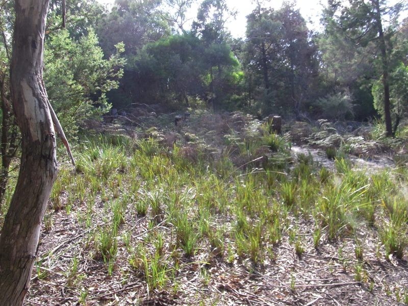 19 Esplanade, Bicheno TAS 7215