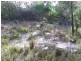 19 Esplanade, Bicheno TAS 7215