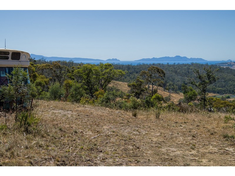 Lot 2 Bresnehans Road, Little Swanport TAS 7190