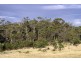 Lot 2 Bresnehans Road, Little Swanport TAS 7190
