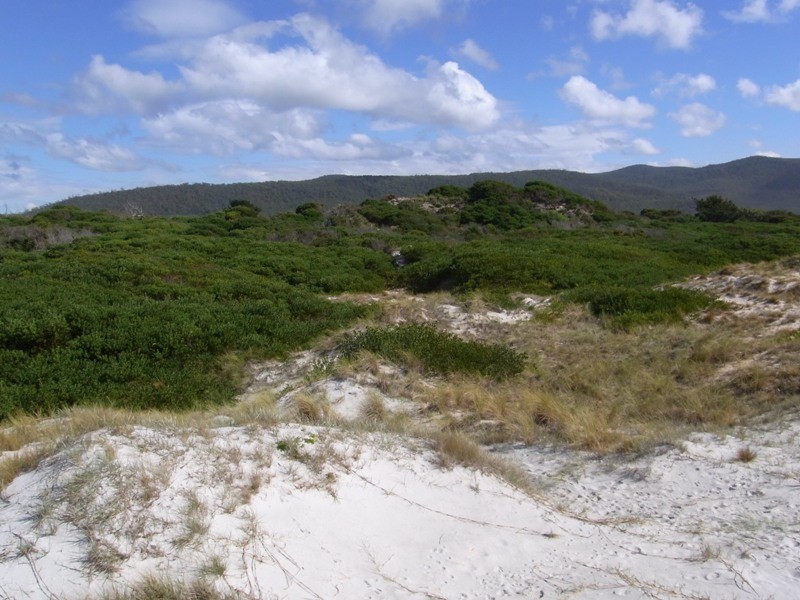 . Tasman Hwy, Bicheno TAS 7215