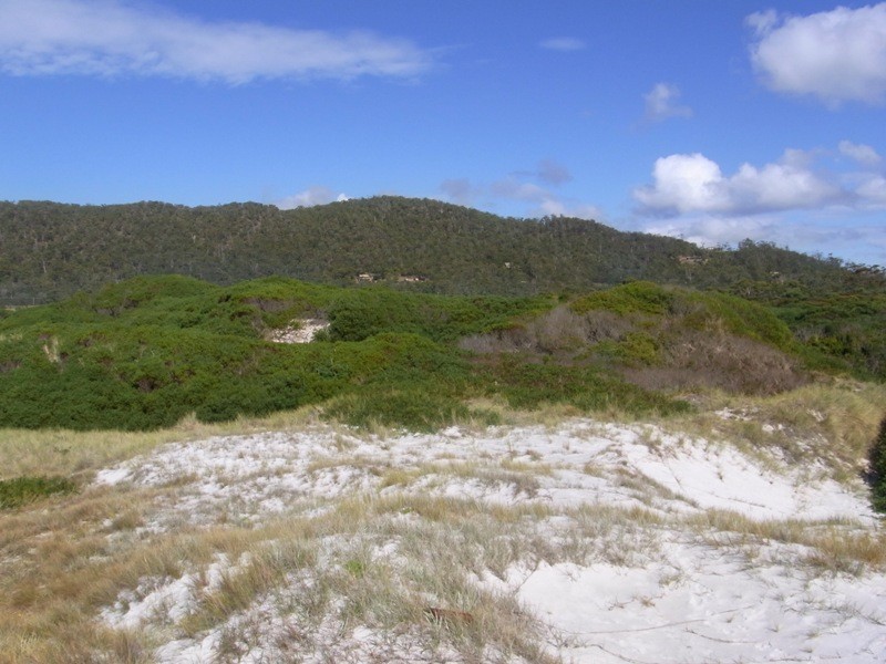 . Tasman Hwy, Bicheno TAS 7215