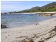 Lots 1 and 2 Harveys Farm Road, Bicheno TAS 7215