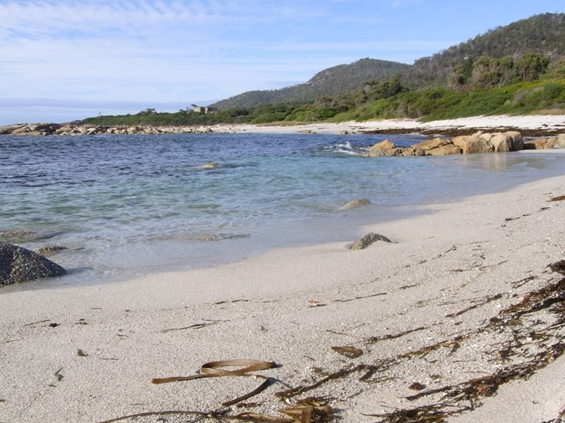 Lots 1 and 2 Harveys Farm Road, Bicheno TAS 7215