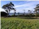 Lots 1 and 2 Harveys Farm Road, Bicheno TAS 7215