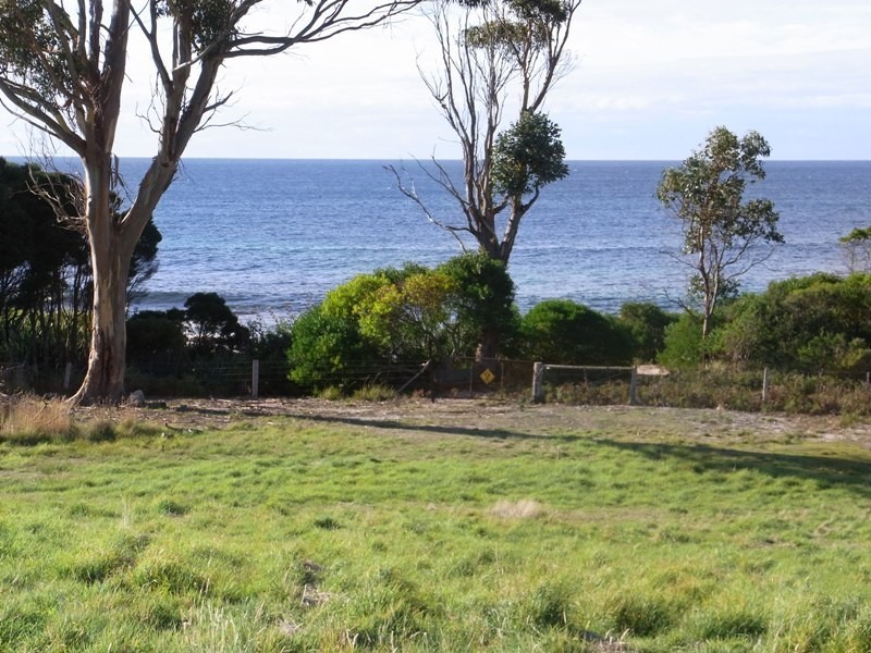 Lots 1 and 2 Harveys Farm Road, Bicheno TAS 7215