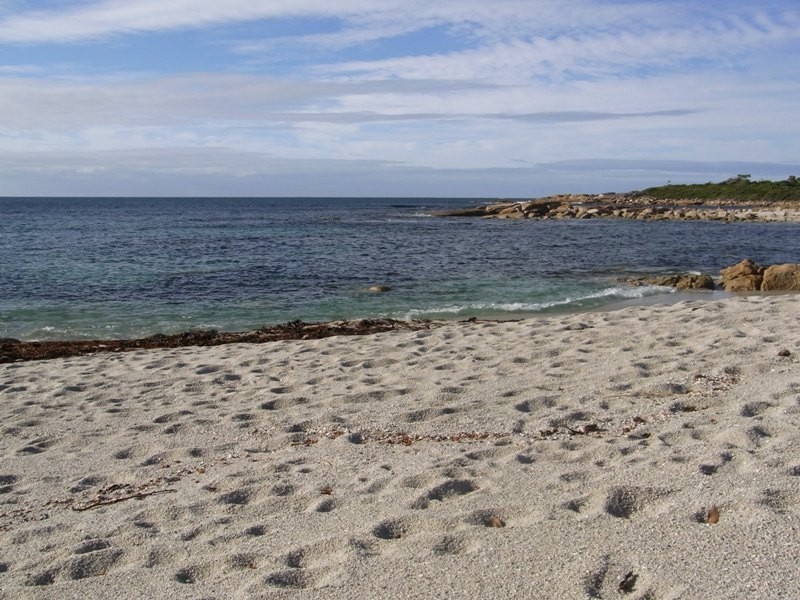 Lots 1 and 2 Harveys Farm Road, Bicheno TAS 7215