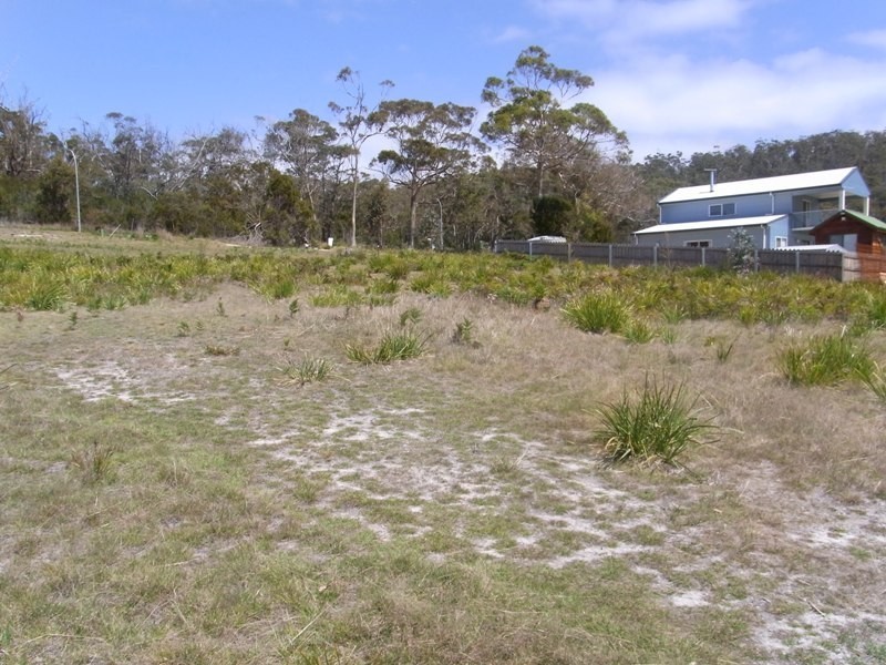 12 Wallace Street, Bicheno TAS 7215