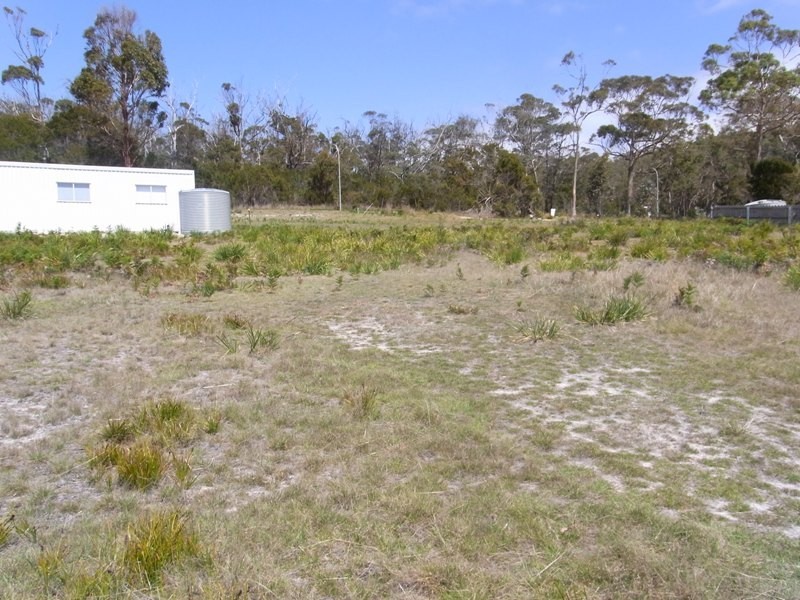 12 Wallace Street, Bicheno TAS 7215