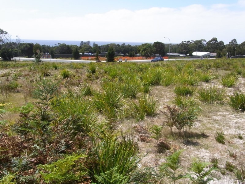 12 Wallace Street, Bicheno TAS 7215