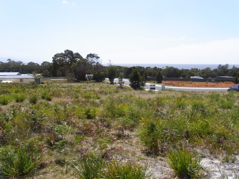 12 Wallace Street, Bicheno TAS 7215