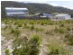 12 Wallace Street, Bicheno TAS 7215
