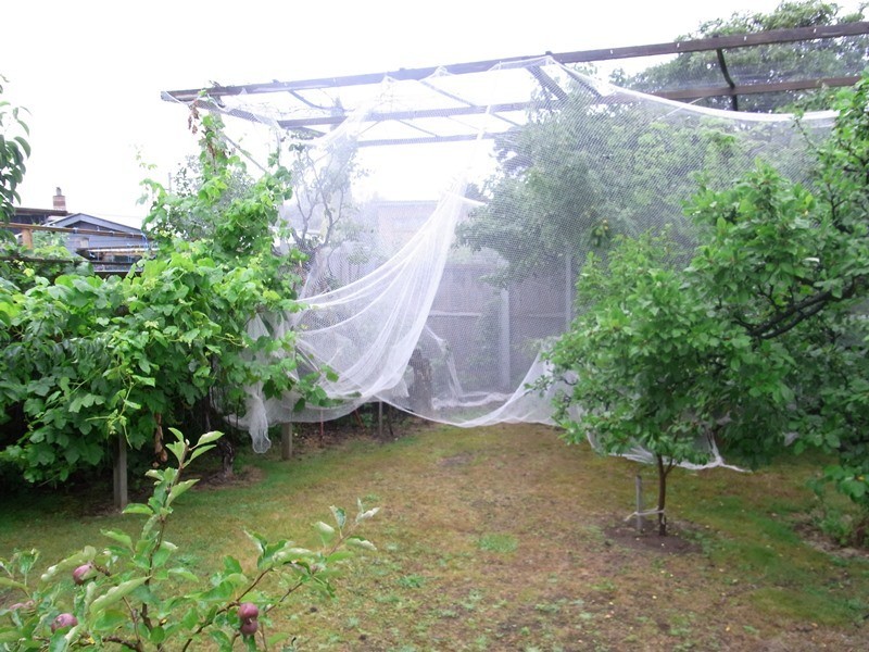 2 Sunnyview Avenue, Swansea TAS 7190