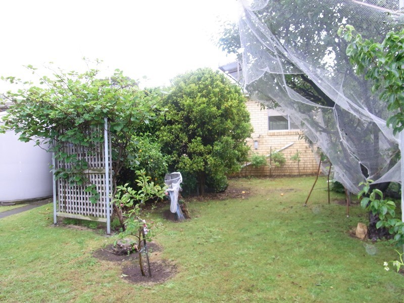 2 Sunnyview Avenue, Swansea TAS 7190