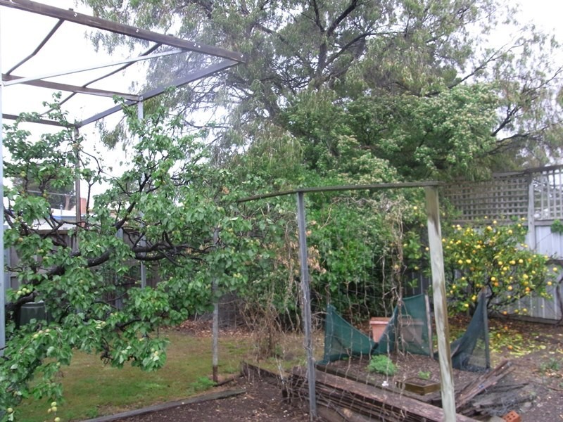 2 Sunnyview Avenue, Swansea TAS 7190