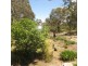 1298 Dolphin Sands Road, Dolphin Sands TAS 7190
