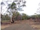 Lot 2 Toxteith Court, Bicheno TAS 7215