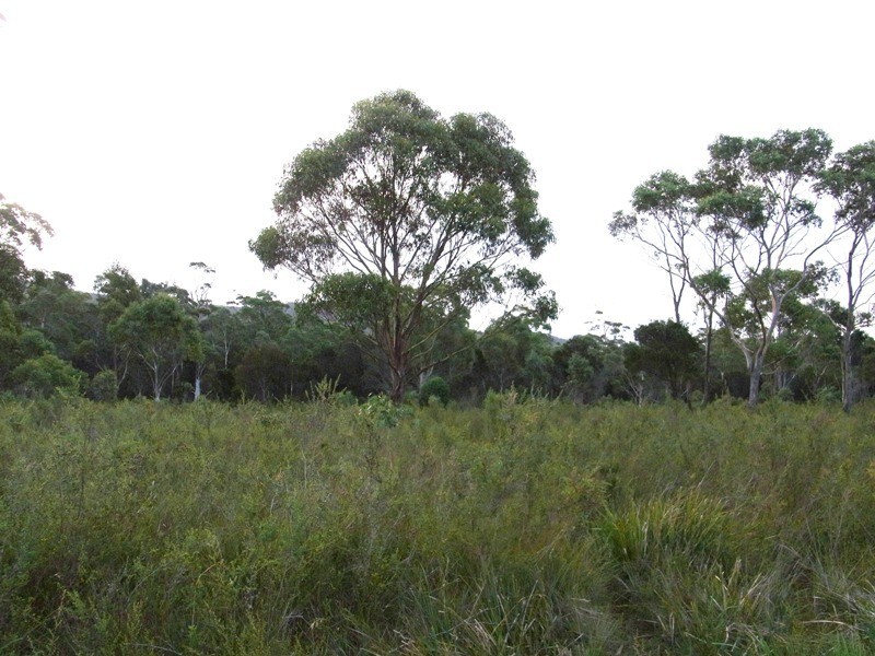 Lot 2 Toxteith Court, Bicheno TAS 7215