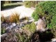 3 Beattie Avenue, Bicheno TAS 7215