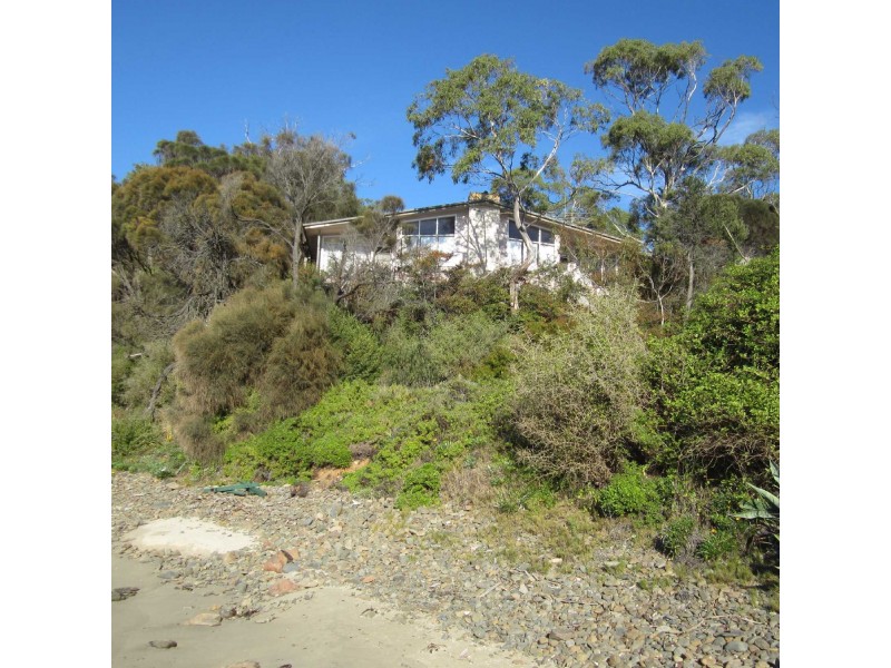 41 Shaw Street, Swansea TAS 7190