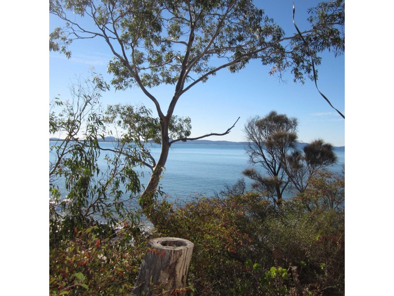 41 Shaw Street, Swansea TAS 7190