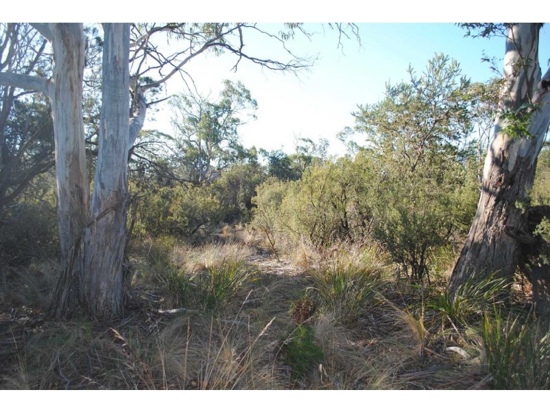 Lot 67 Dolphin Sands Road, Dolphin Sands TAS 7190