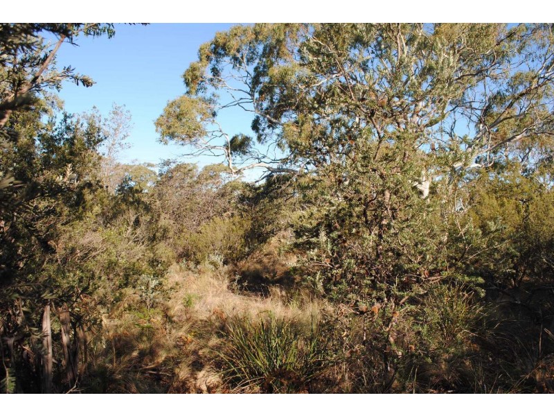Lot 67 Dolphin Sands Road, Dolphin Sands TAS 7190
