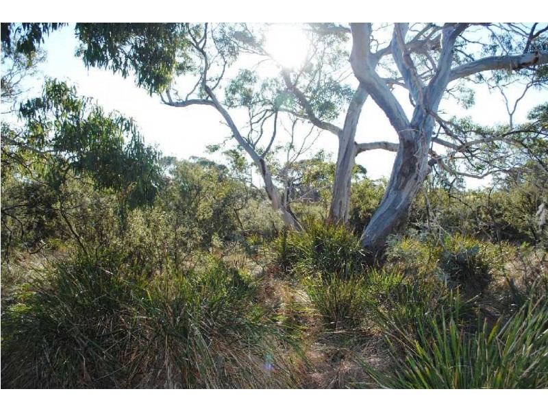 Lot 67 Dolphin Sands Road, Dolphin Sands TAS 7190