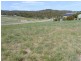 5 Sheoak Court, Coles Bay TAS 7215