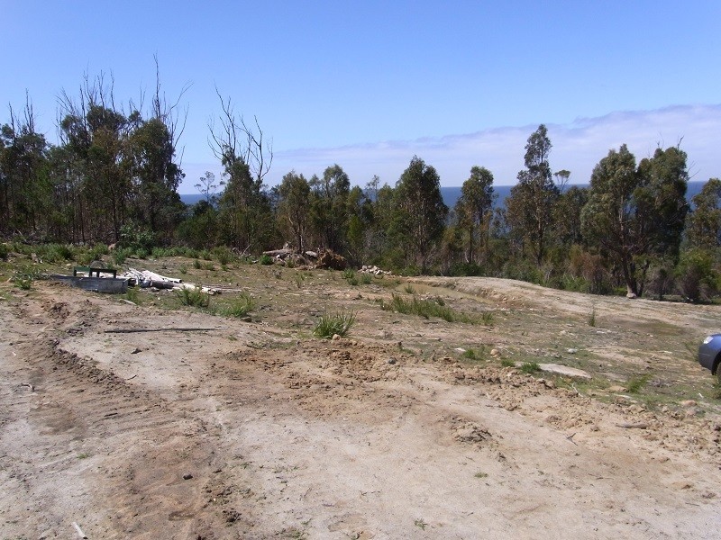 21339 Tasman Highway, Four Mile Creek TAS 7215