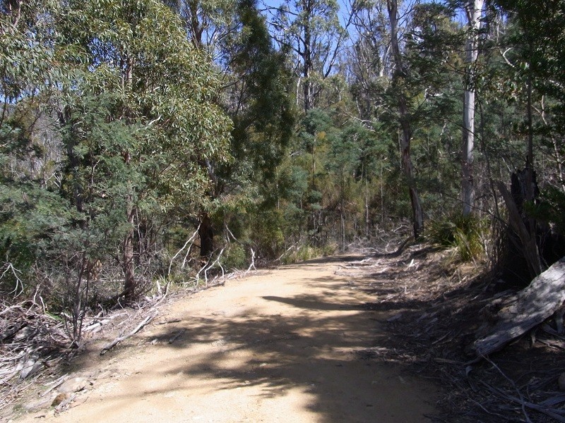 21339 Tasman Highway, Four Mile Creek TAS 7215